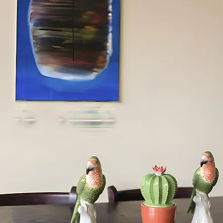 Spacious In Belem Apartman